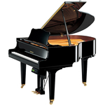 Дисклавир Yamaha DGC1E3 PM, фото 